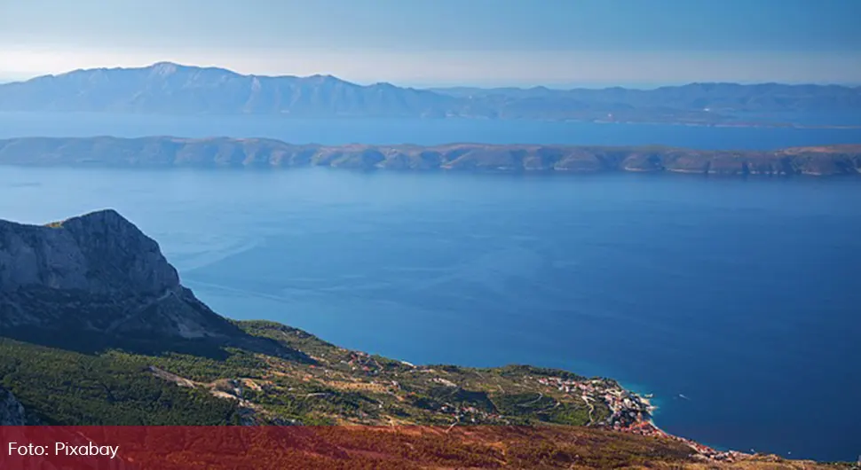 Купари.webp