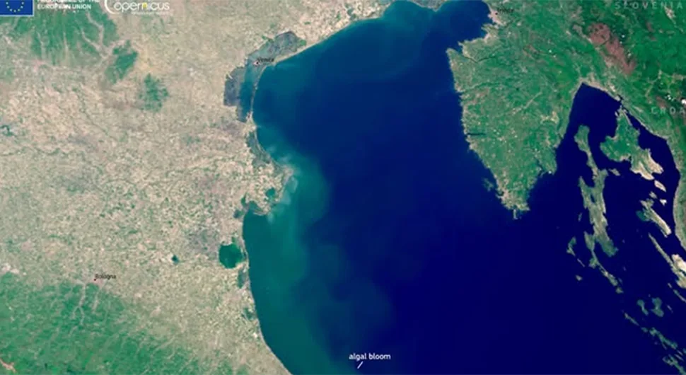 море.webp