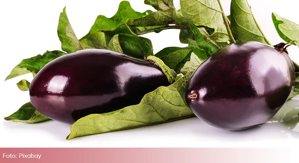 Патлиџан.webp