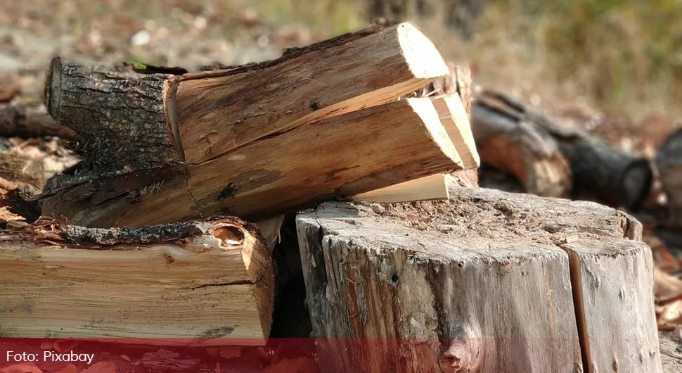 дрва.webp